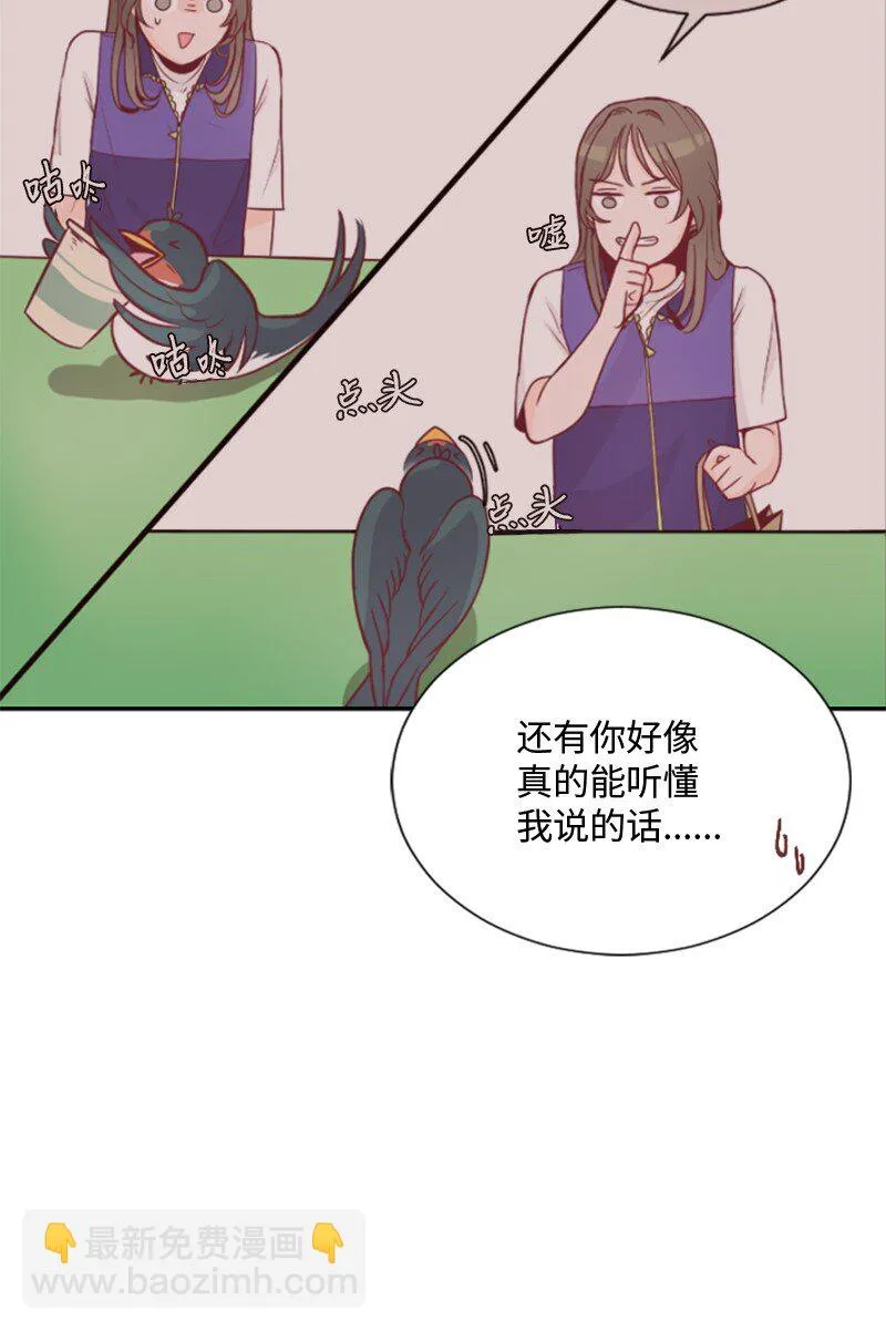 01 路边的燕子 第50页