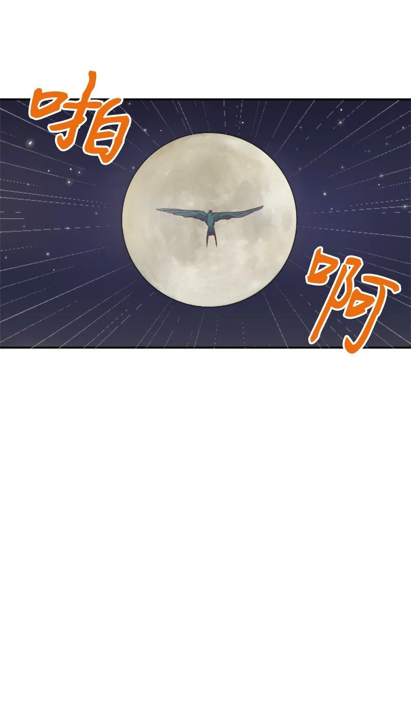 01 路边的燕子 第61页