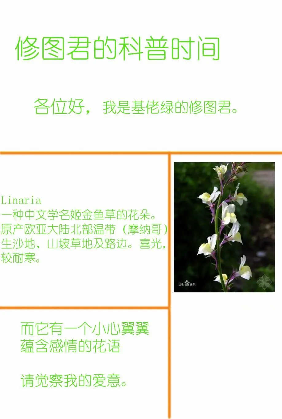 为她献上的Linaria 第40页