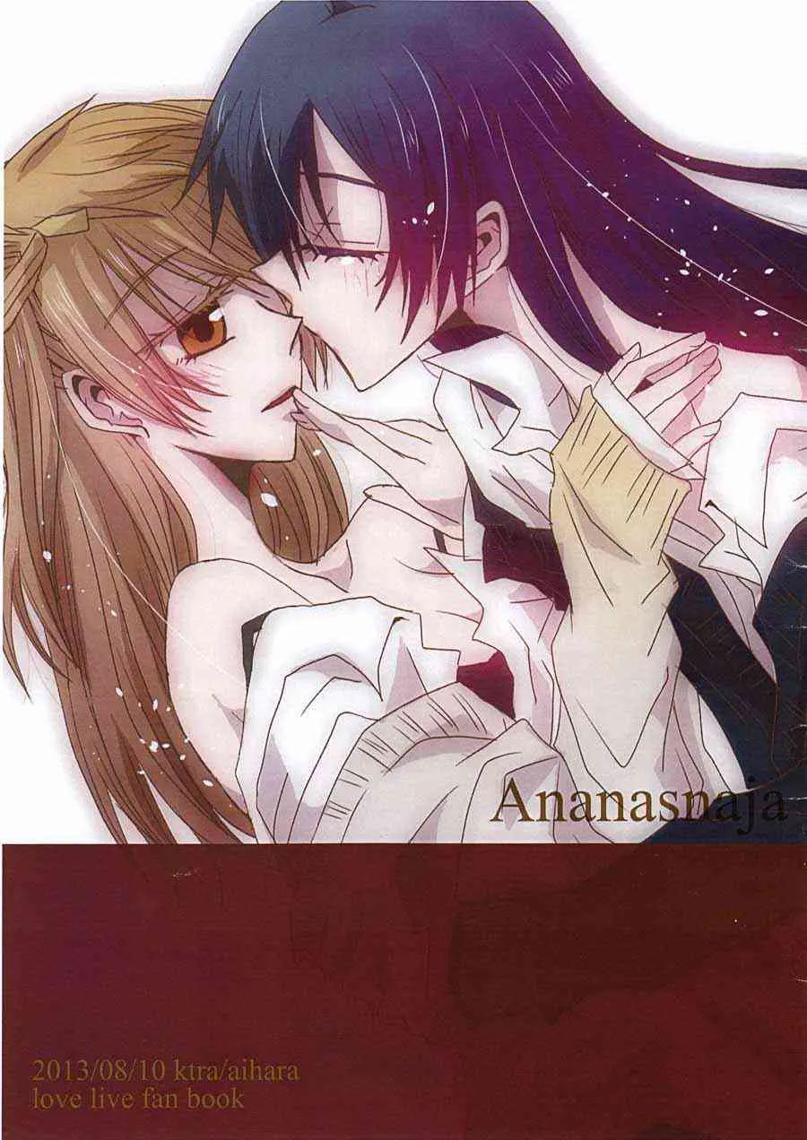 Ananasna ja 第1页