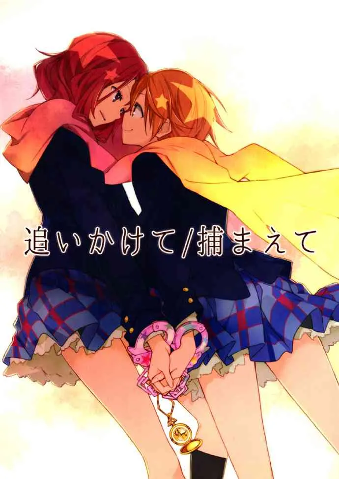 追いかけて/捕まえて 第2页