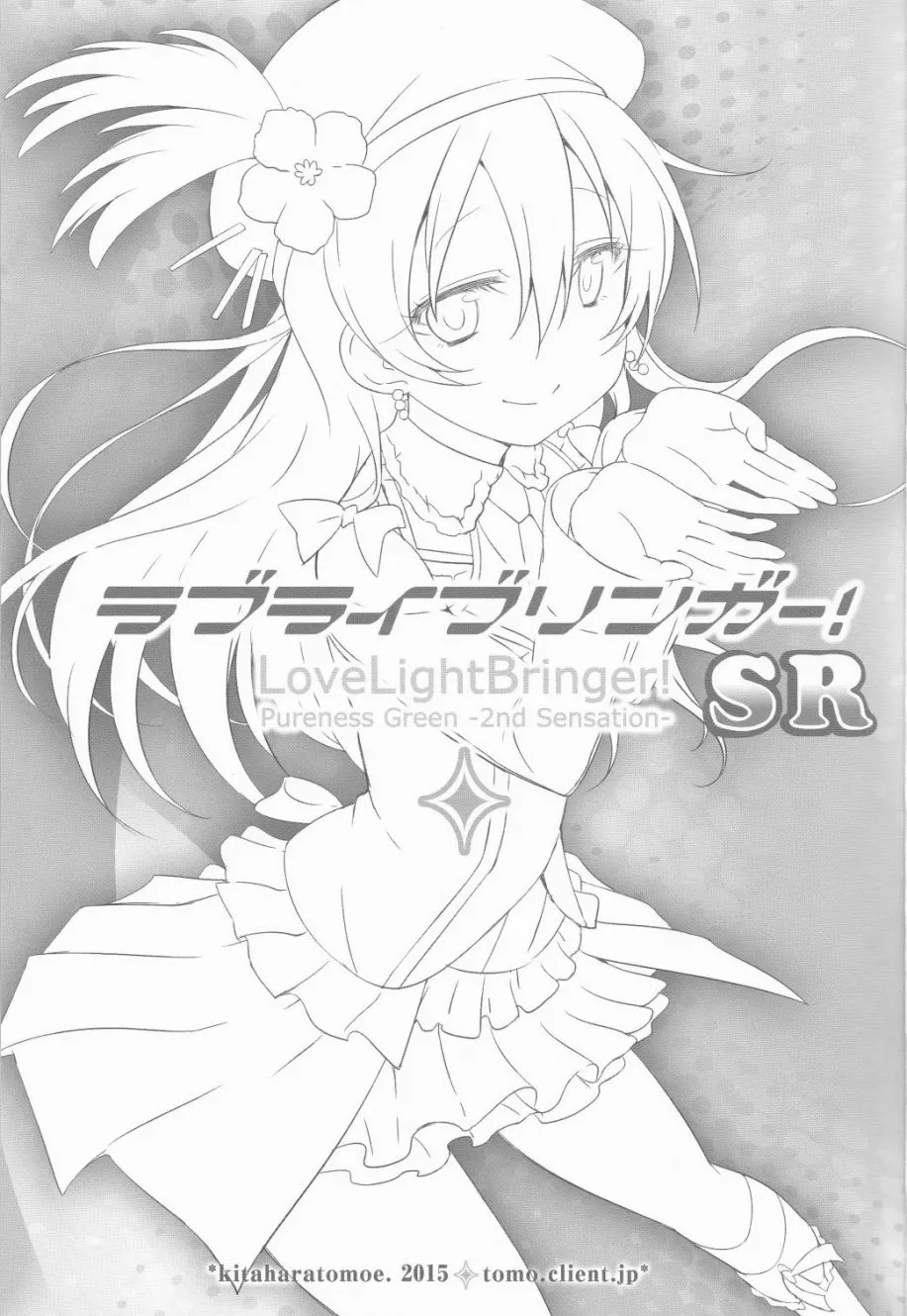 SRピュア2 第2页
