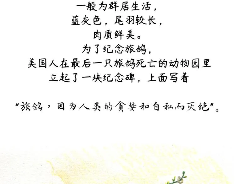 【第十话】海豚菲洛 第79页