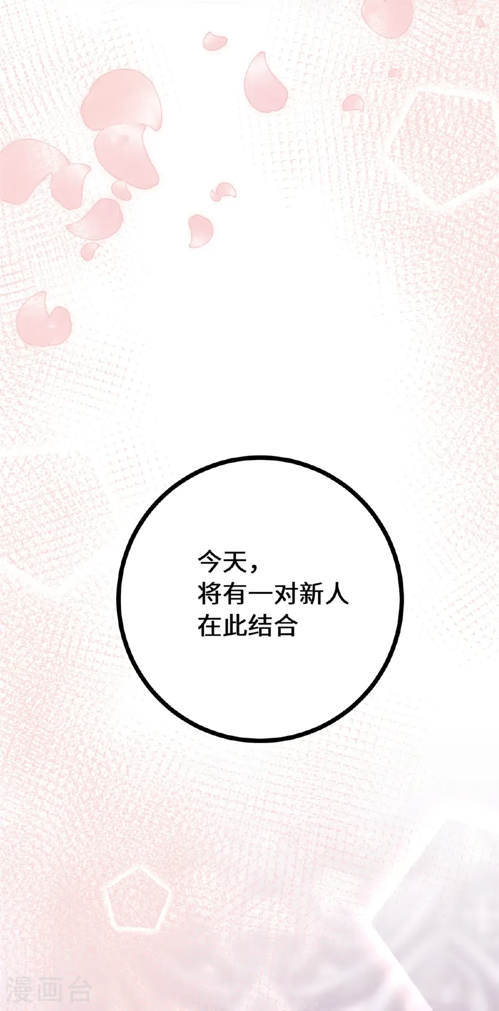 最终话 最幸福的婚礼 第17页