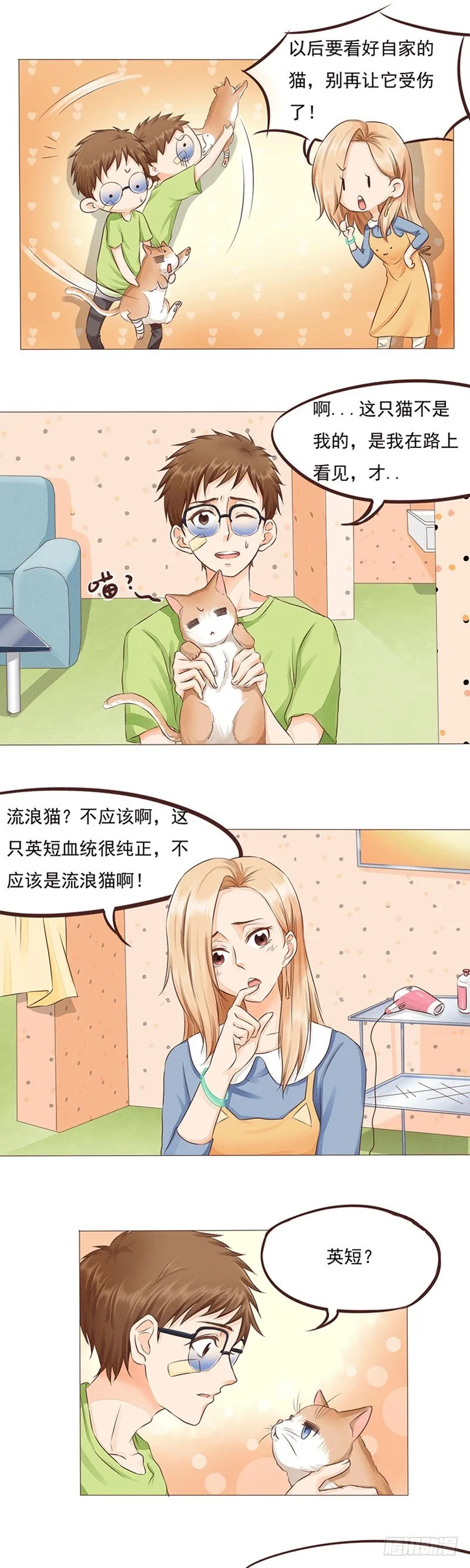 第16话 女人和猫都败家 第4页