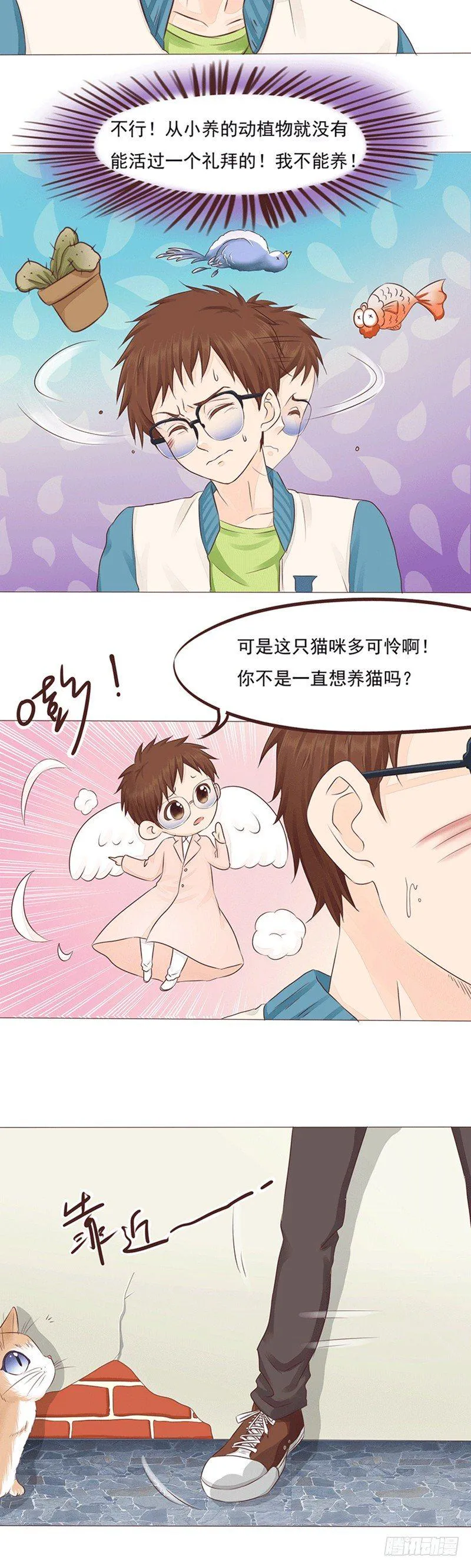 第14话 雨天遇见喵~ 第11页
