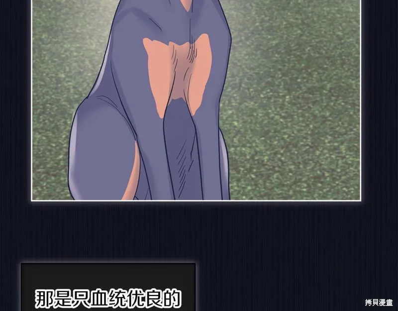 第37话 第45页