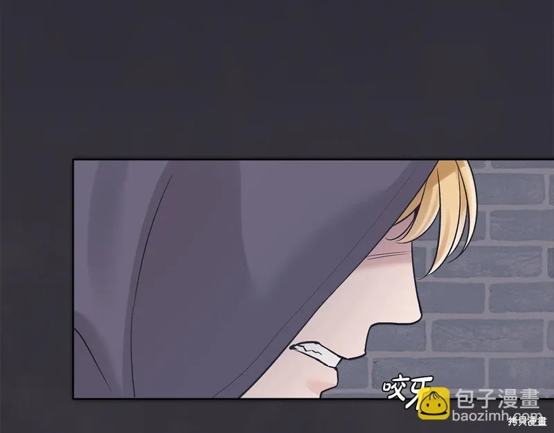 第3季30话 第102页