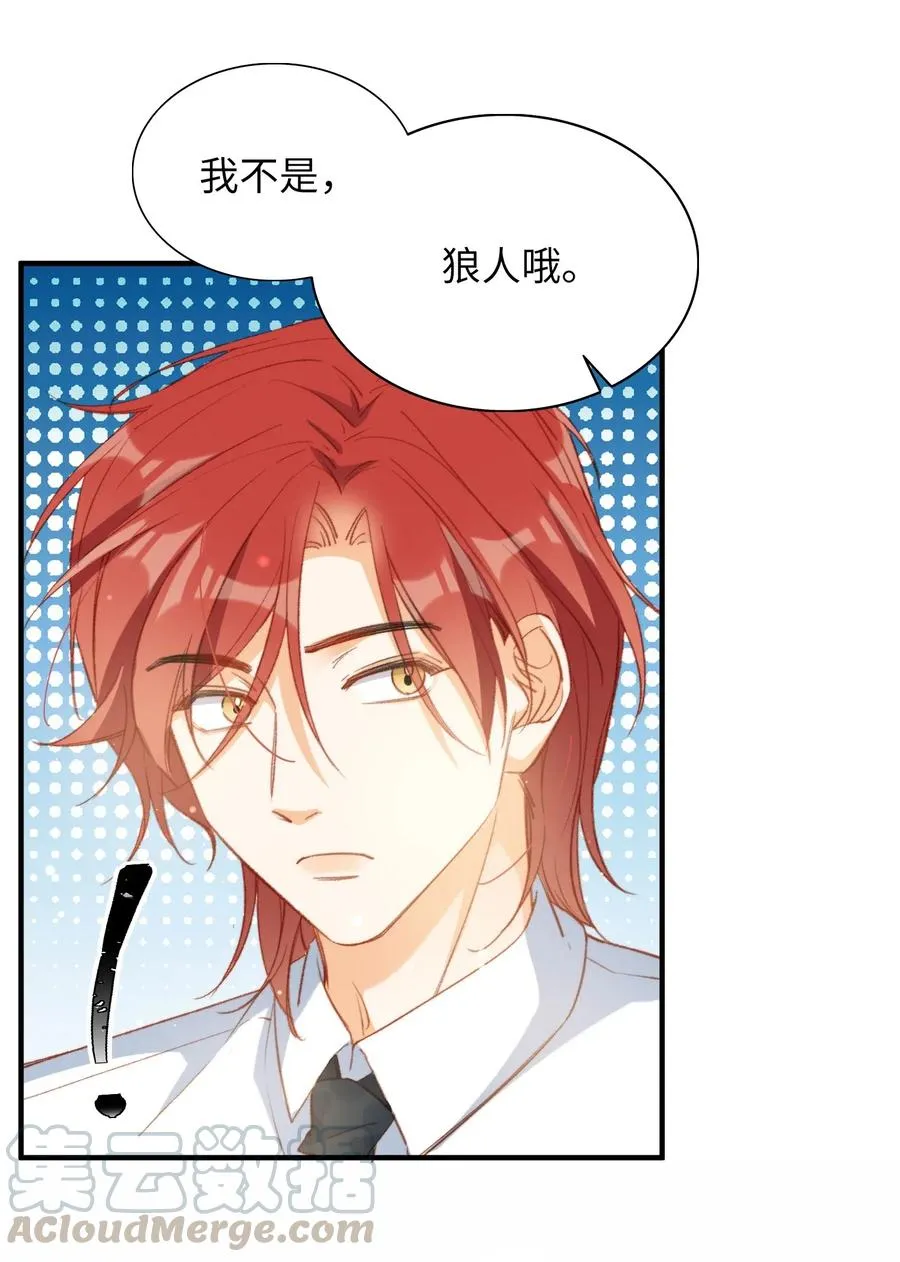 056 崽，你没事就好。 第22页