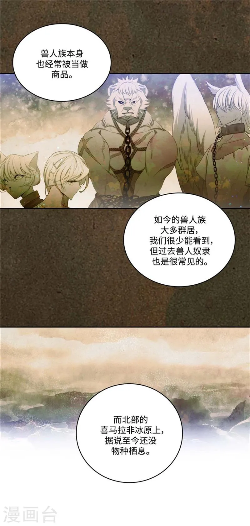 第95话 消失的神 第14页