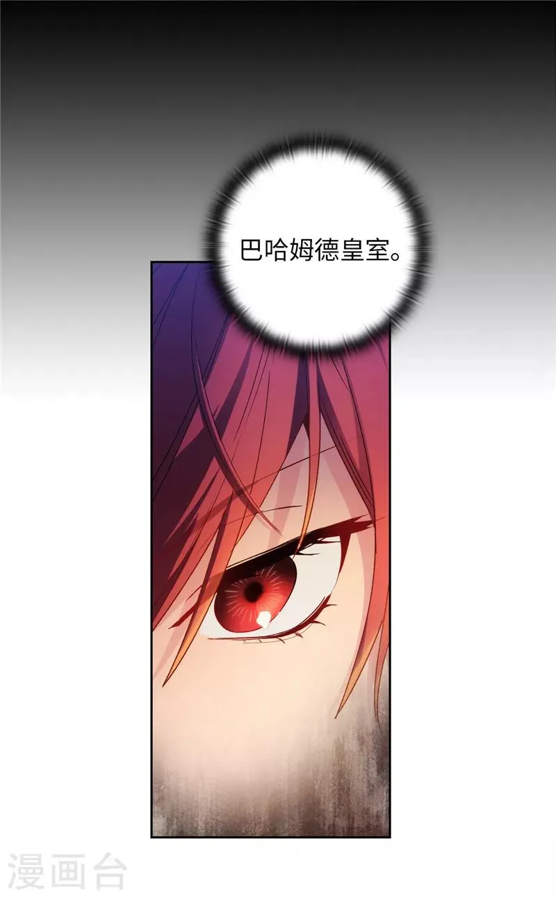 第185话 纯净的血统 第12页