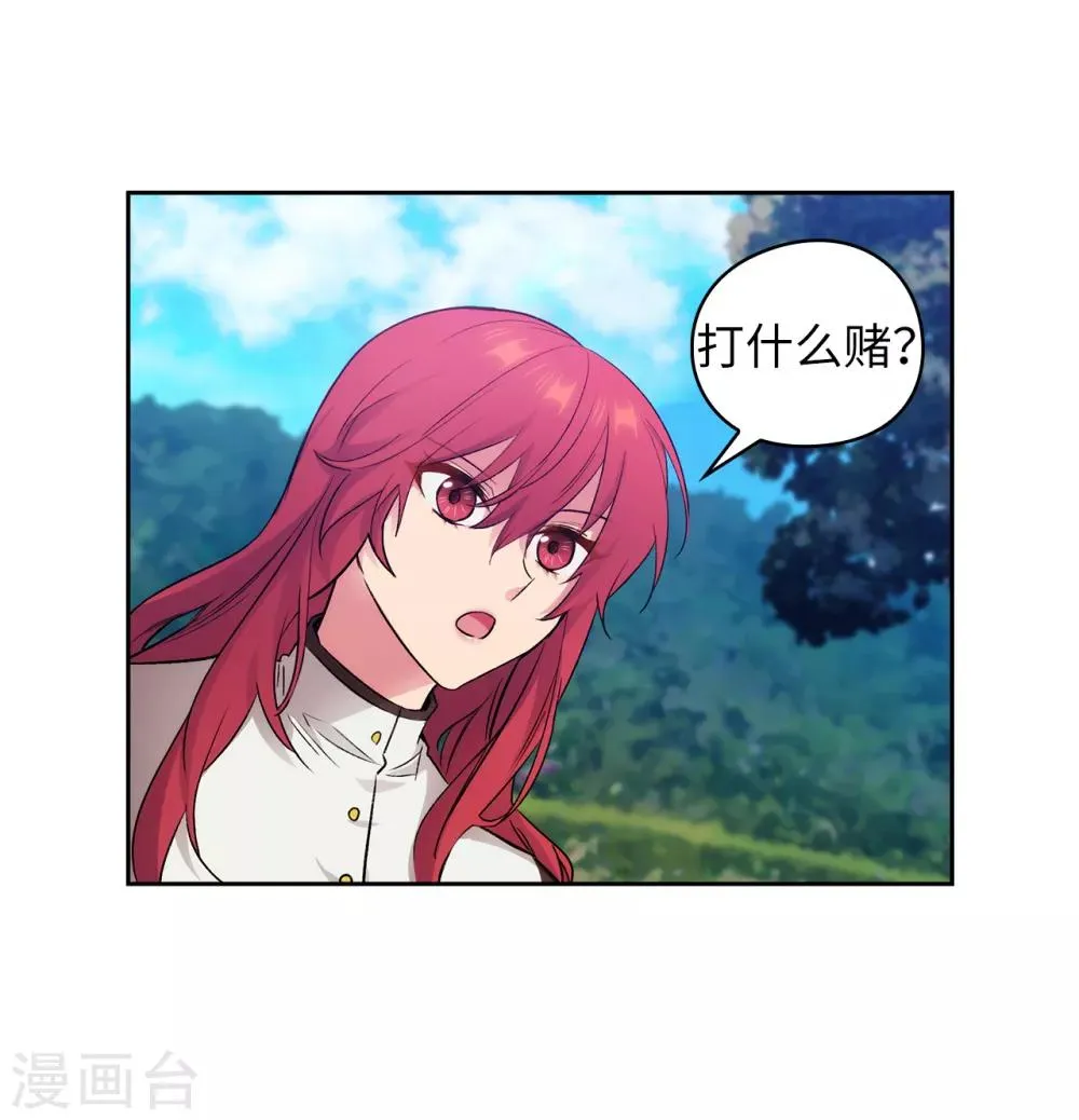第240话 跟我打个赌吧 第25页