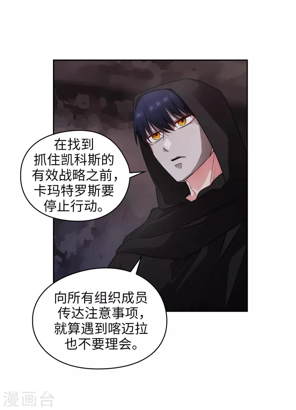 第267话 停止行动 第13页