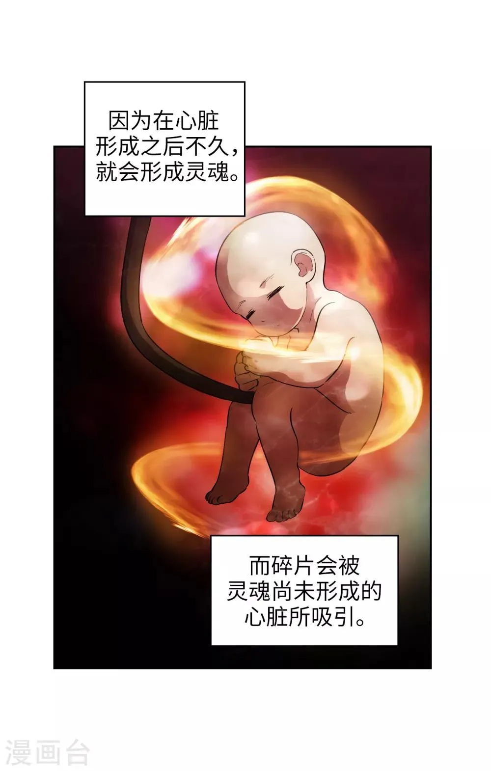 第278话 我被追杀的原因 第24页