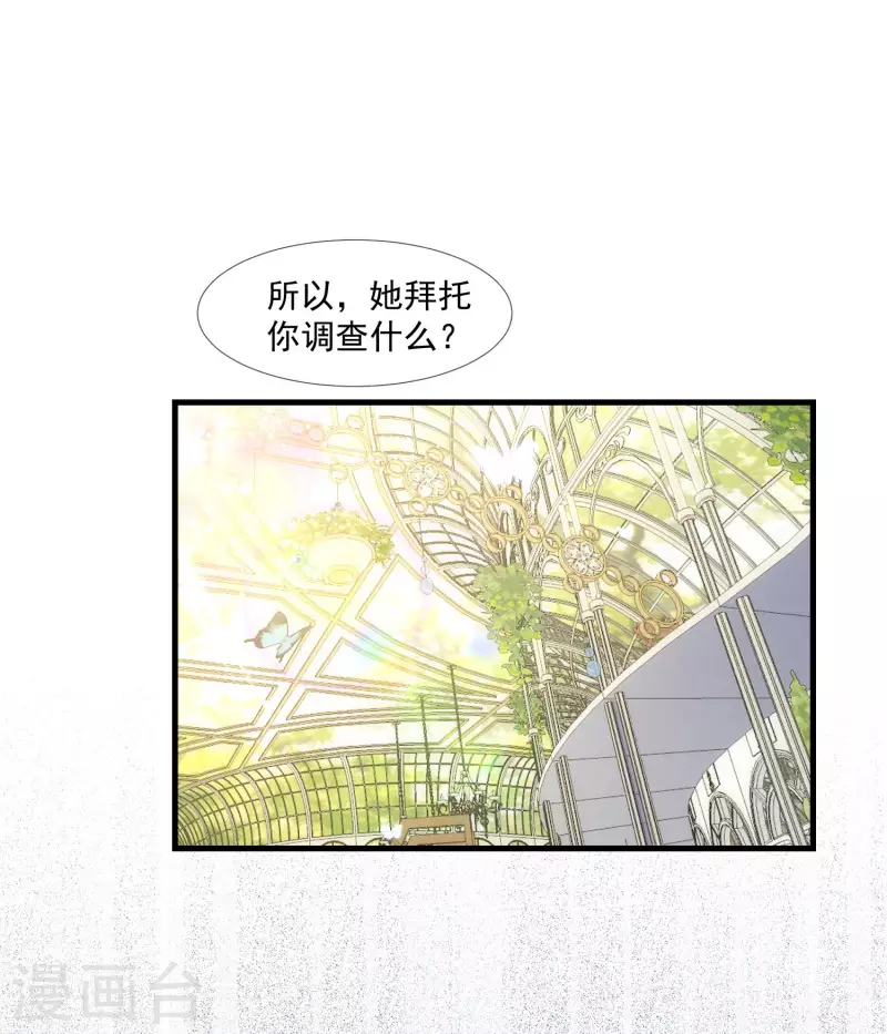 第26话 金色的斯特里特 第3页