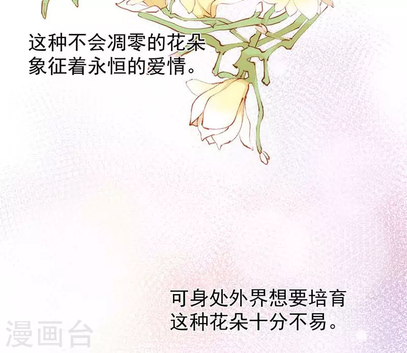 第59话致佩妮娅 第37页