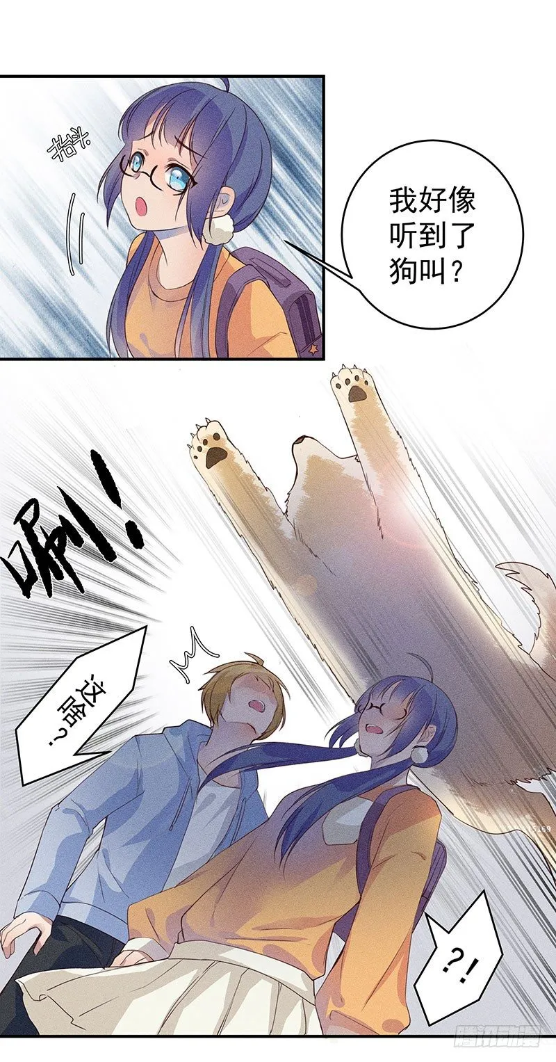 鬼鬼祟祟的老熟人 第26页