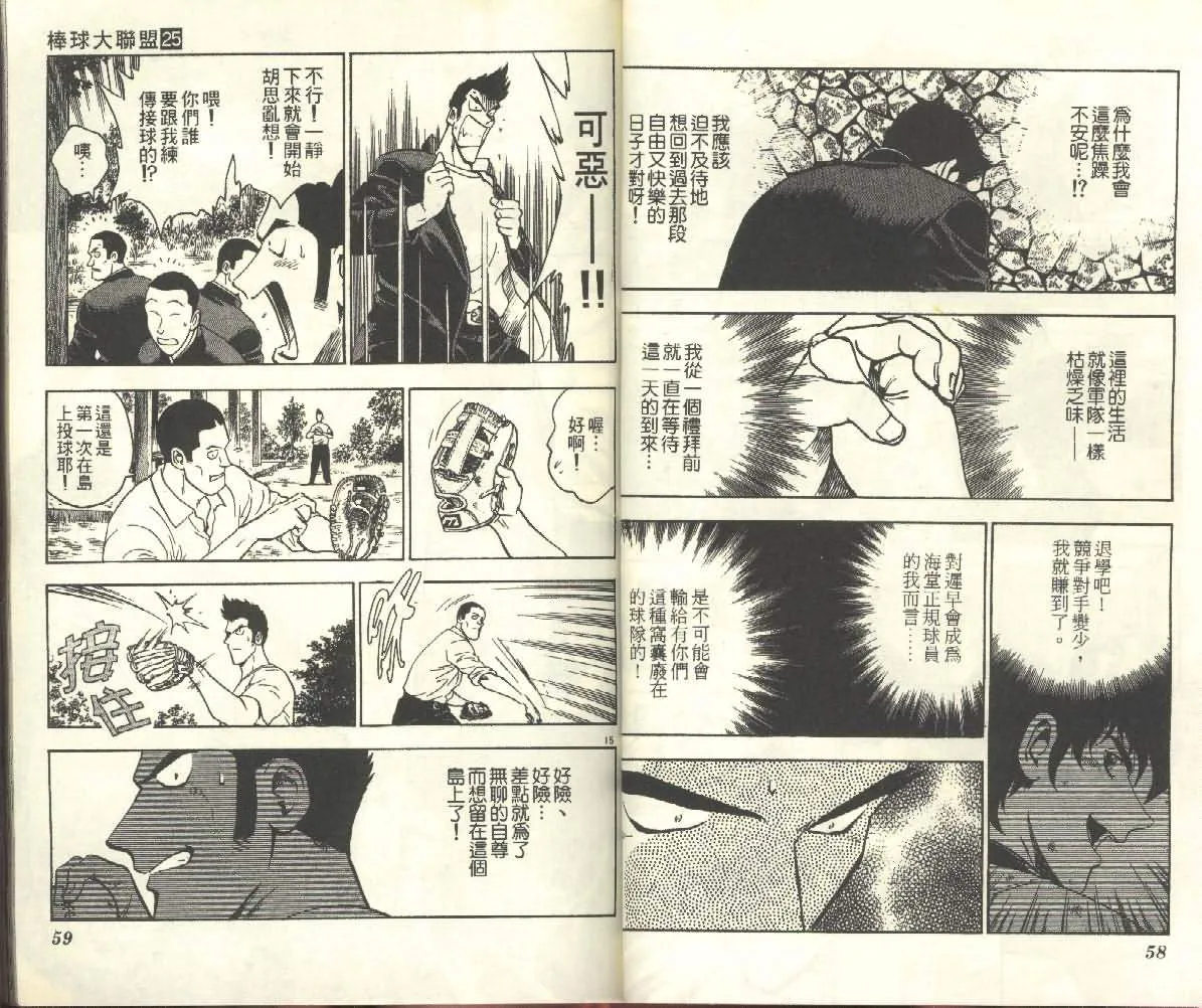 第25卷 第29页