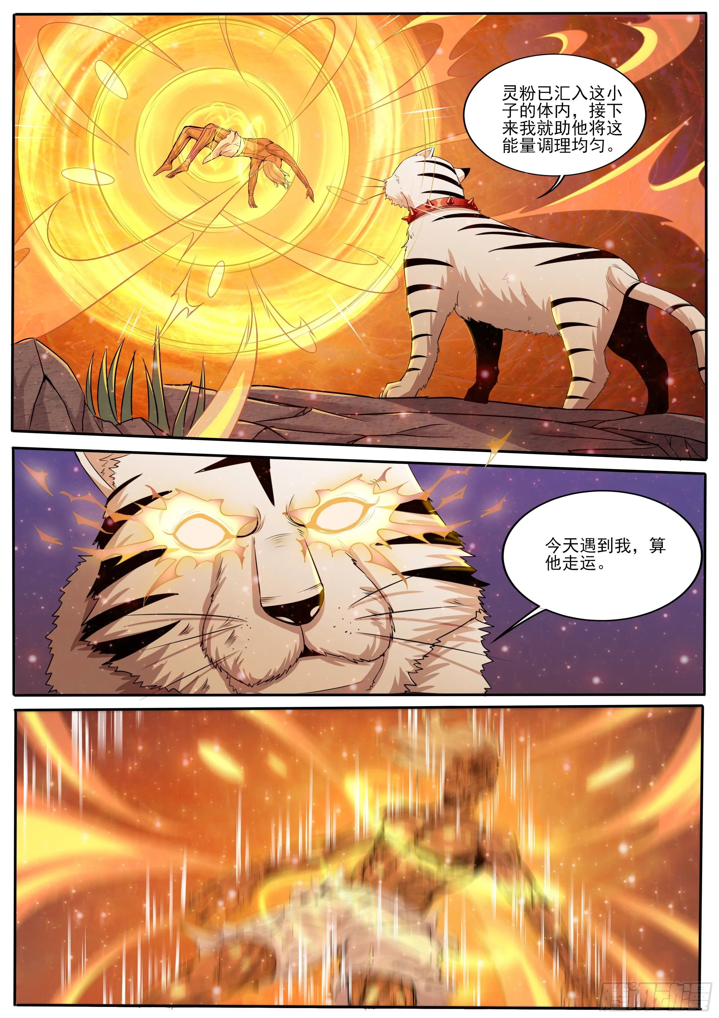 11-暗中相助 第12页