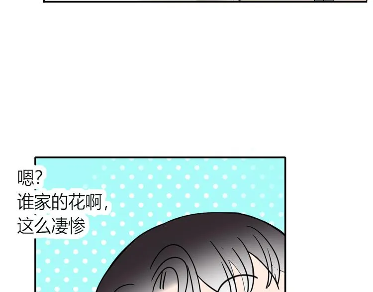 第50话 南洋好梦游 第33页