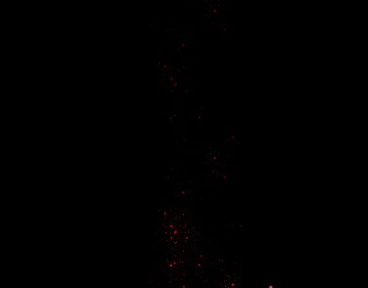 第56话 张狂 第9页