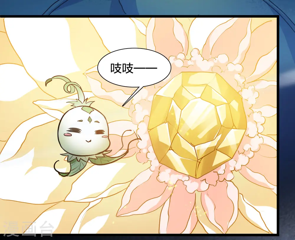 第540话 光耀神殿2 第13页