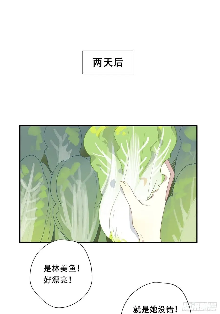 第25话 一波未平一波又起 第3页