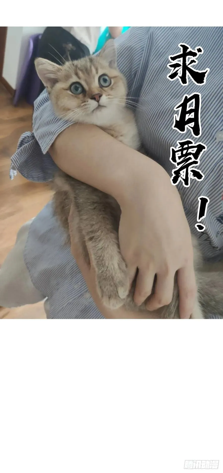 第35话：霸道武魂 第37页