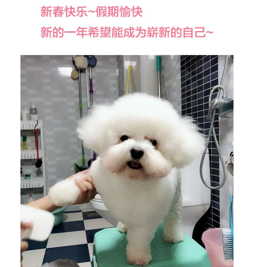 第184话 破解之法 第46页