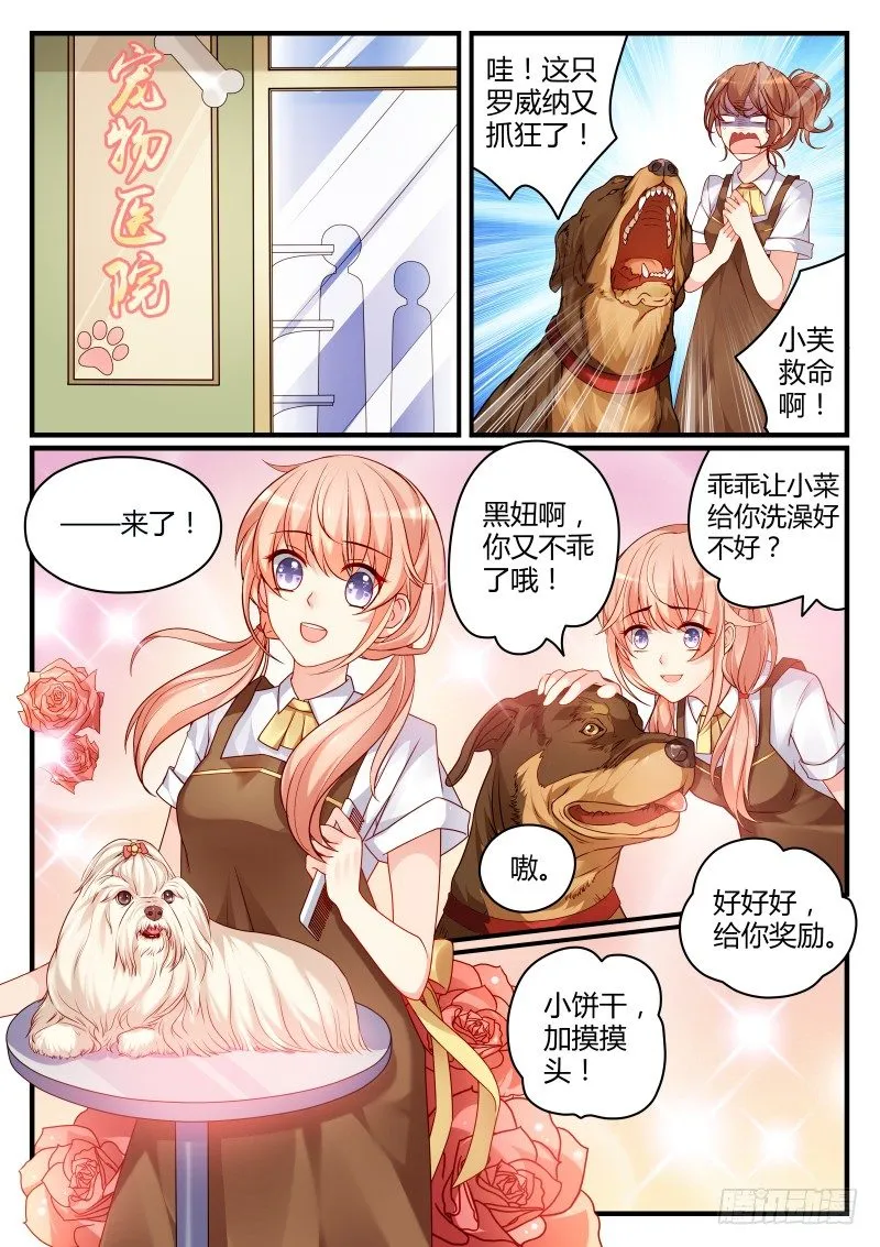 5 第7页