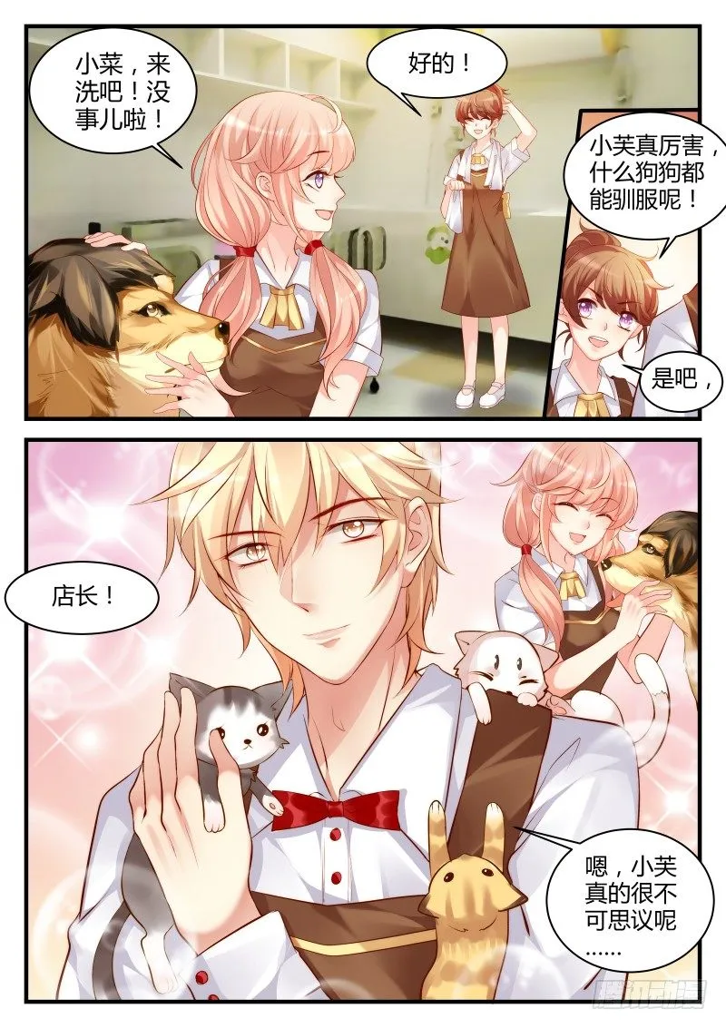 5 第8页