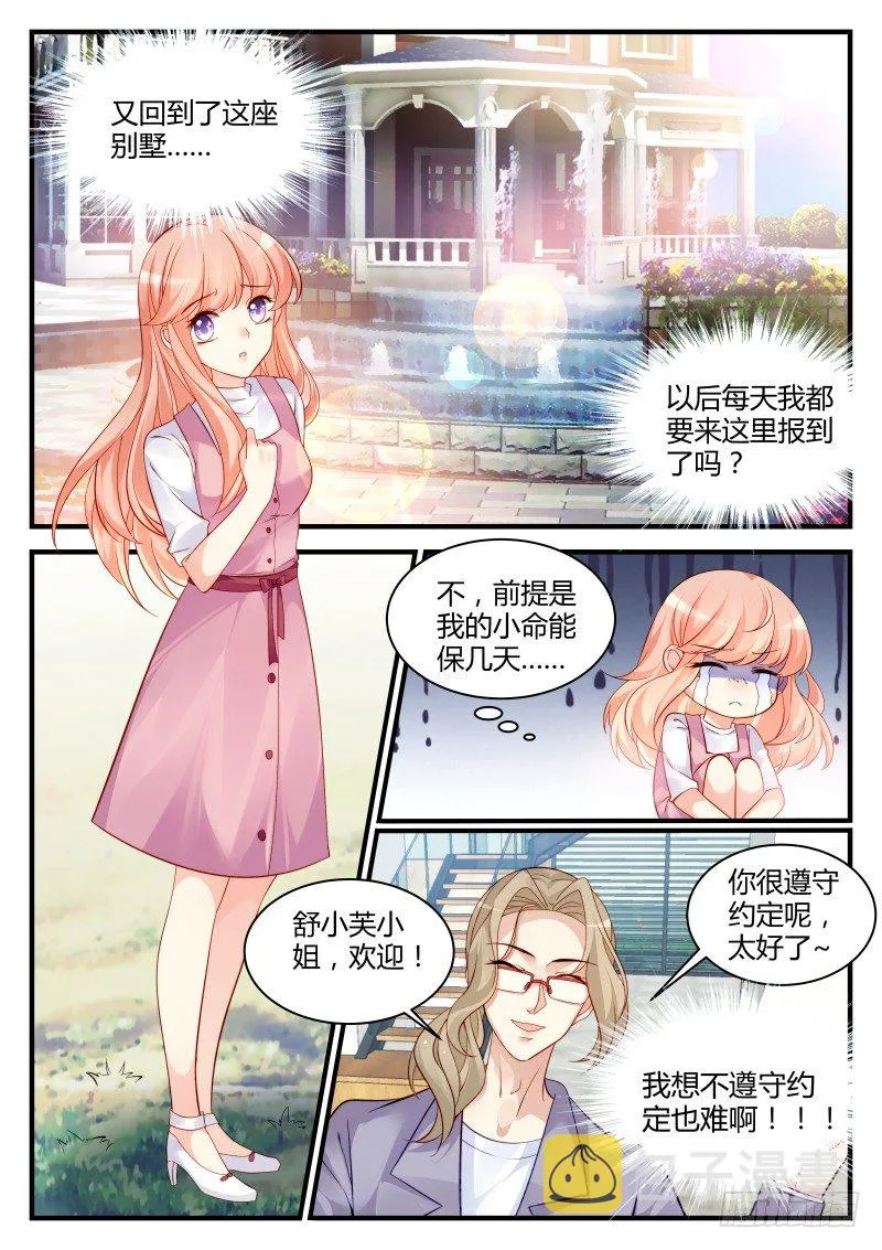 13 第8页