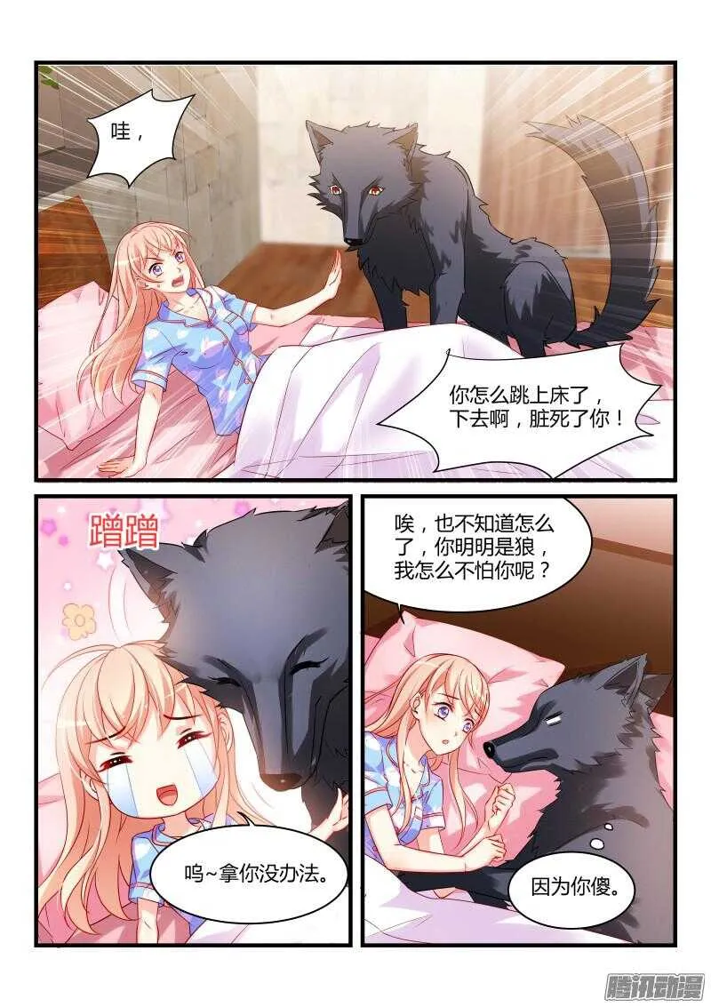 40 第9页