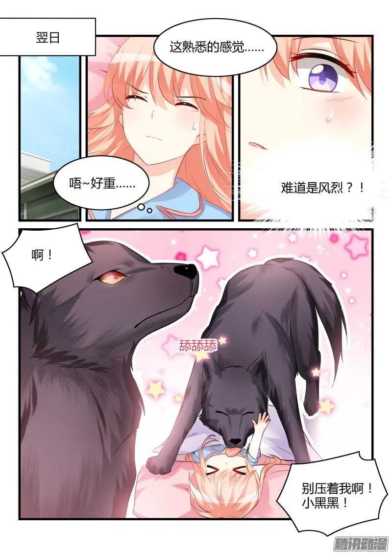 41 第2页