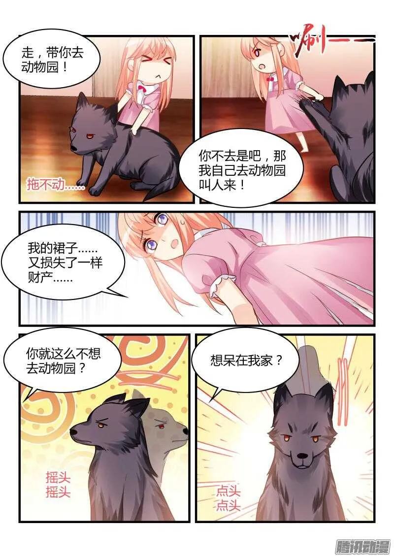 41 第3页