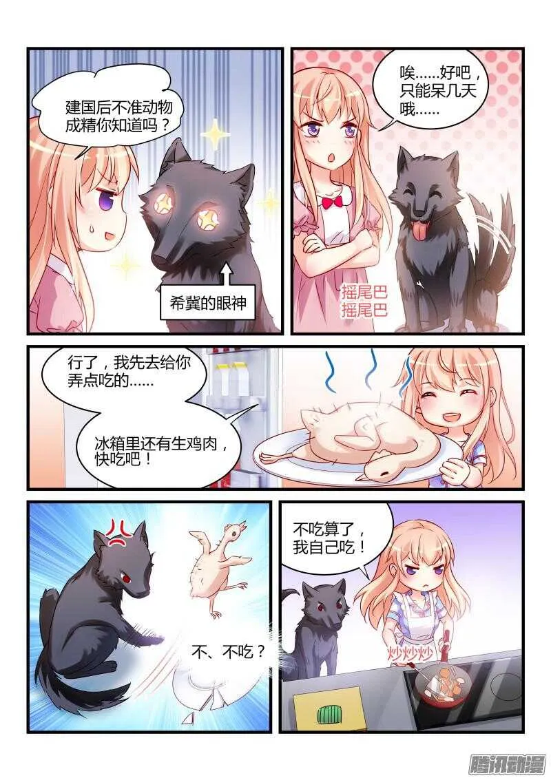 41 第4页