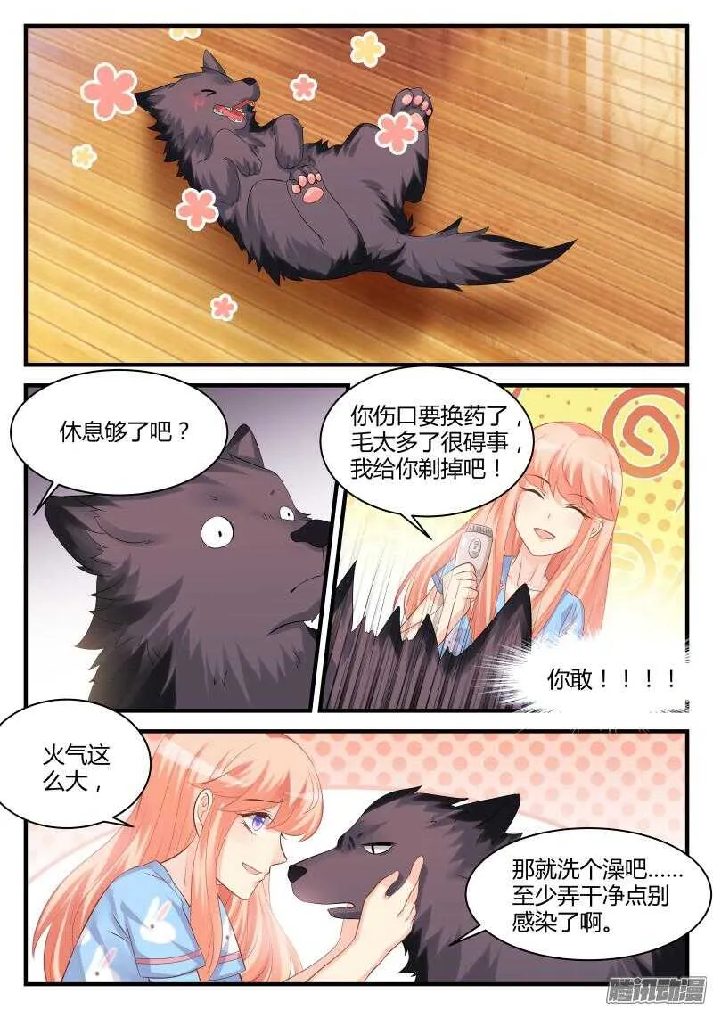 41 第7页