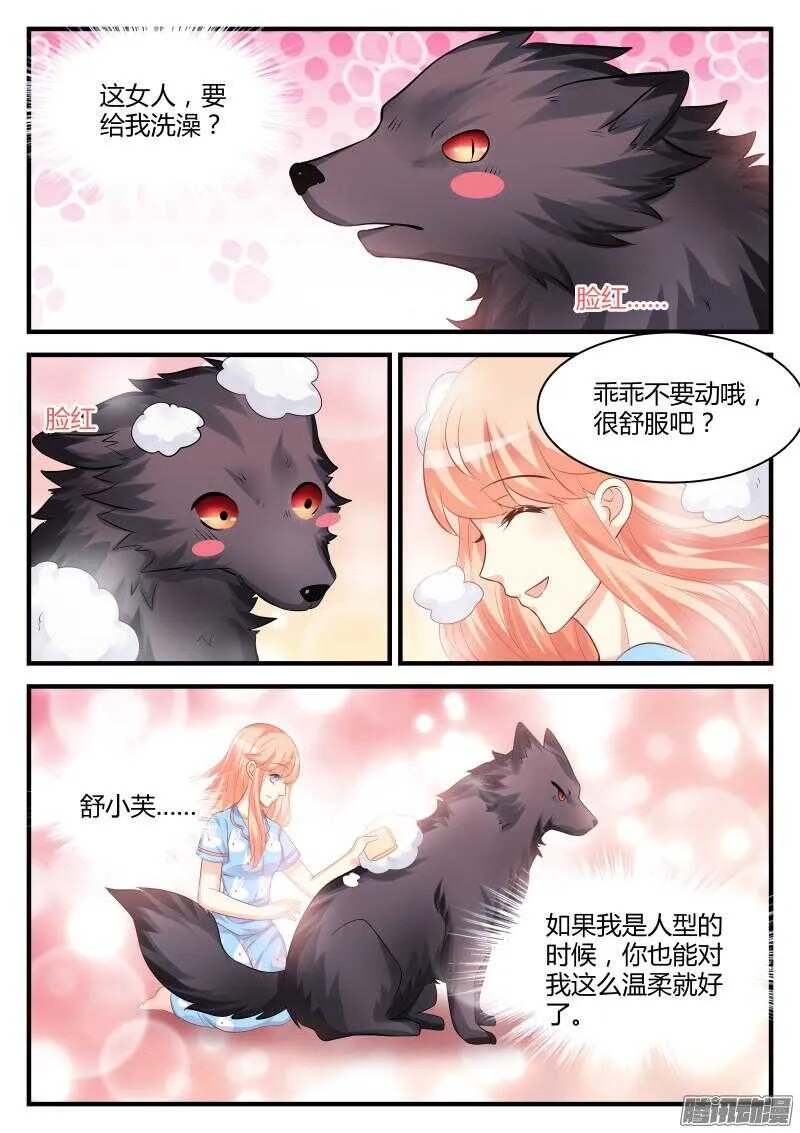 41 第8页