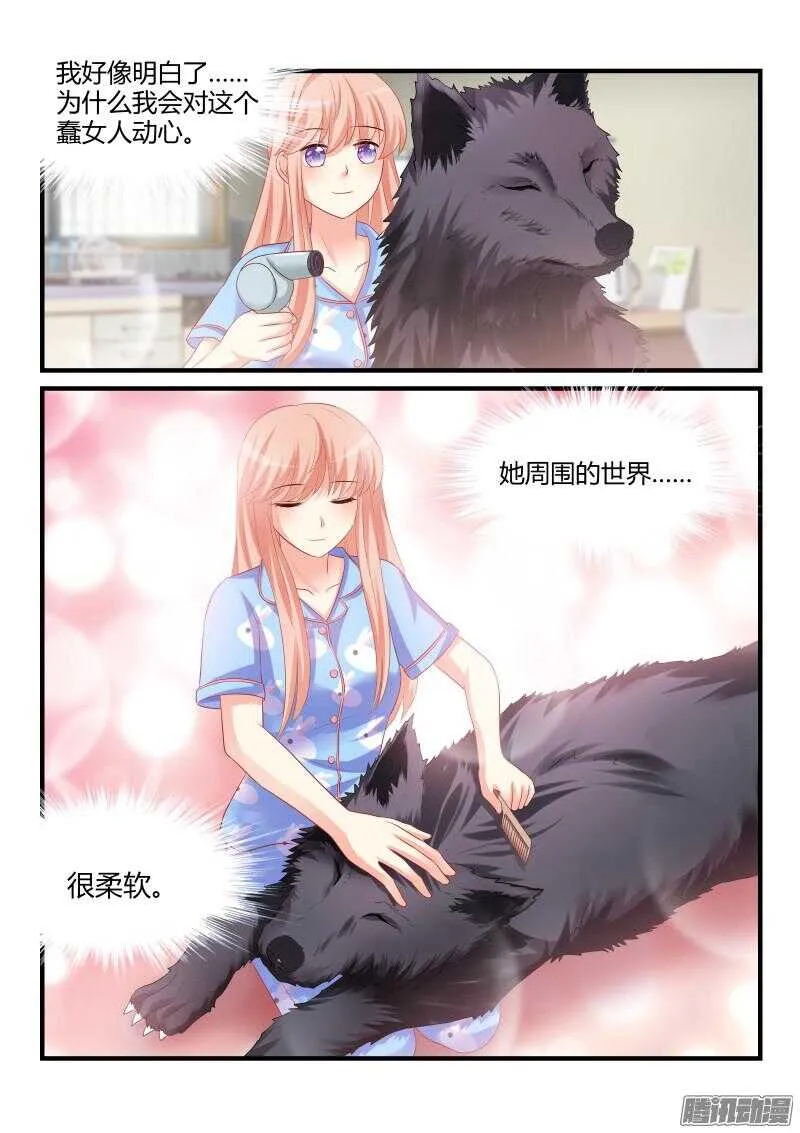 41 第9页