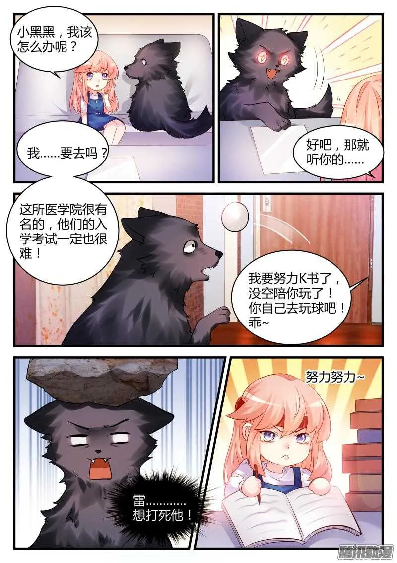 43 第8页