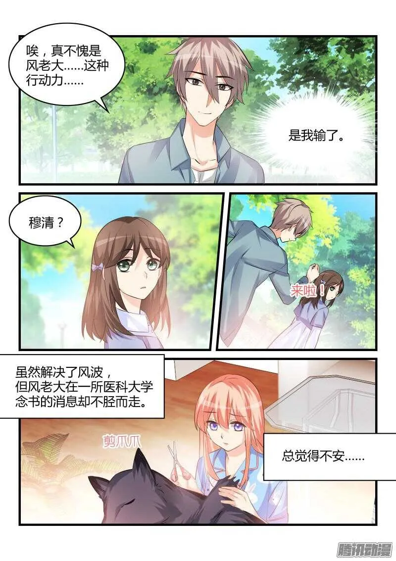 53 第8页