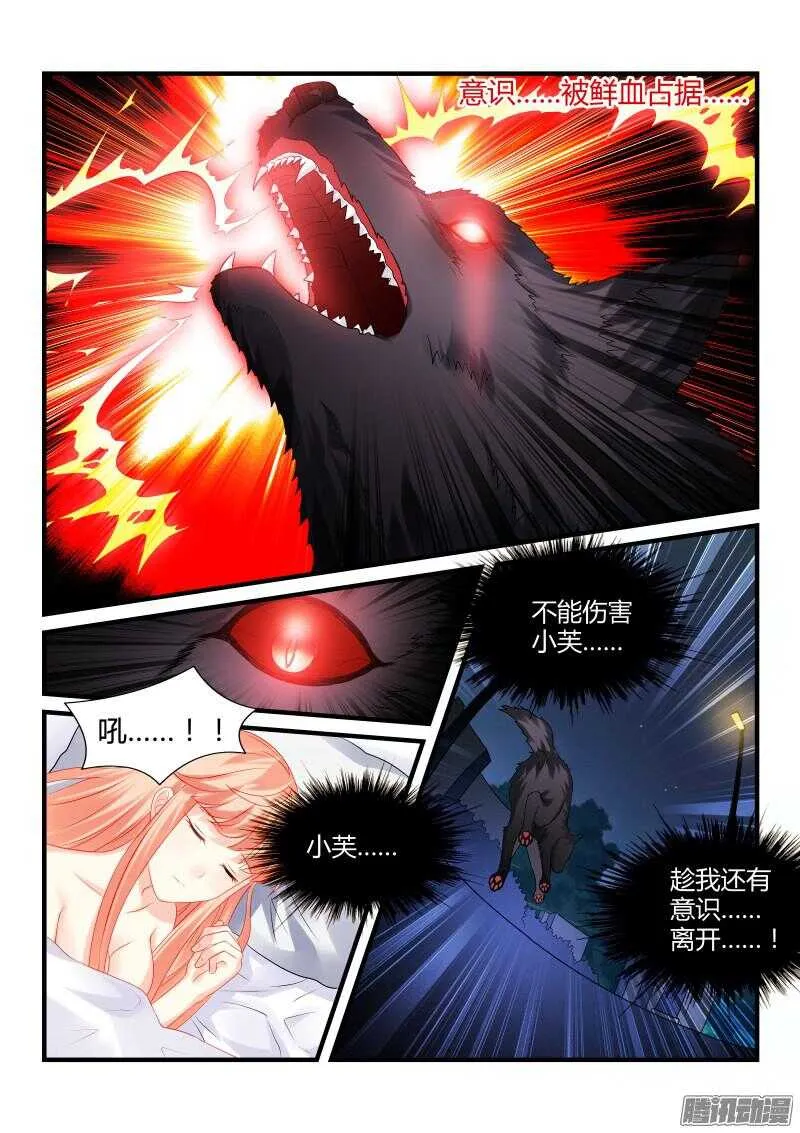 67 第7页