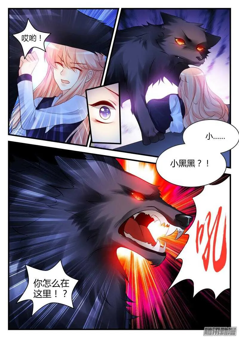 74 第5页