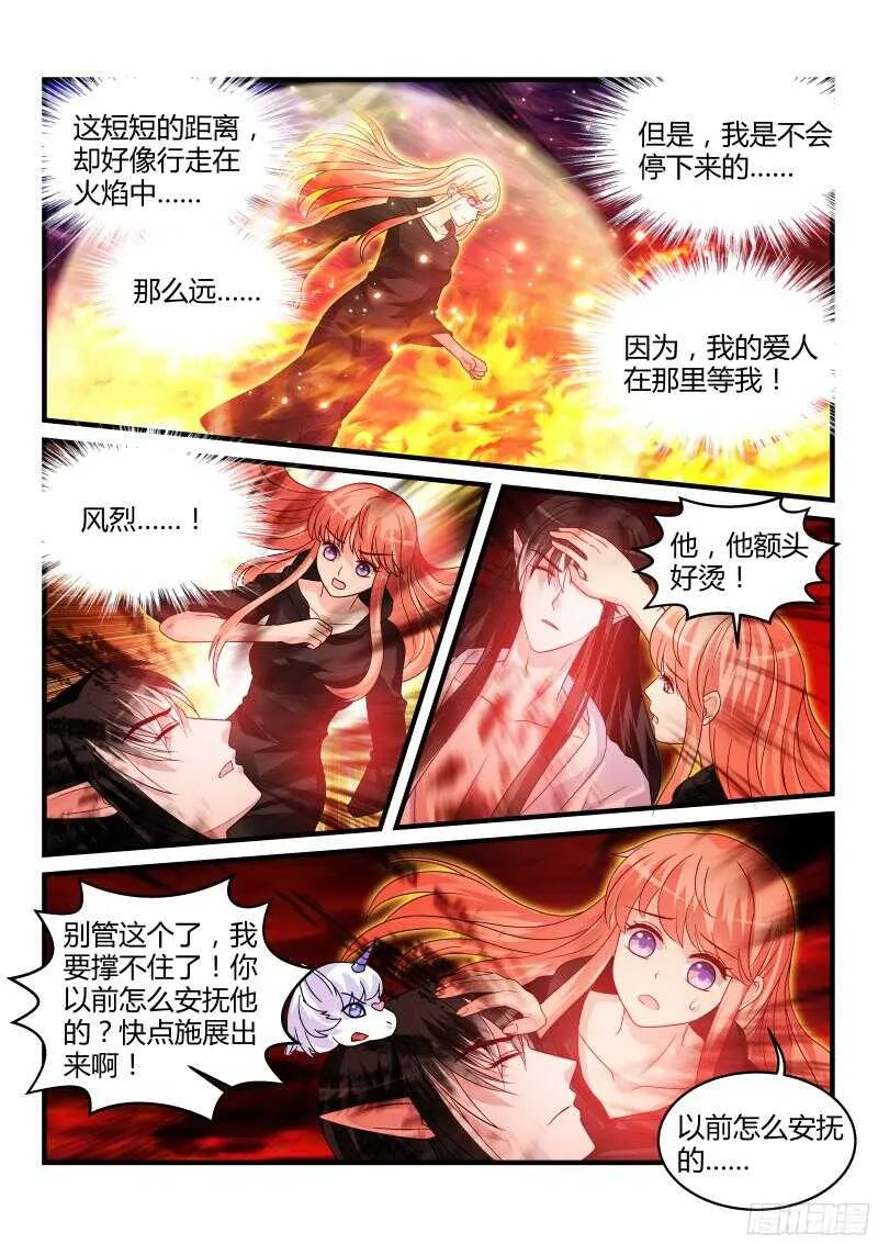 113 第8页