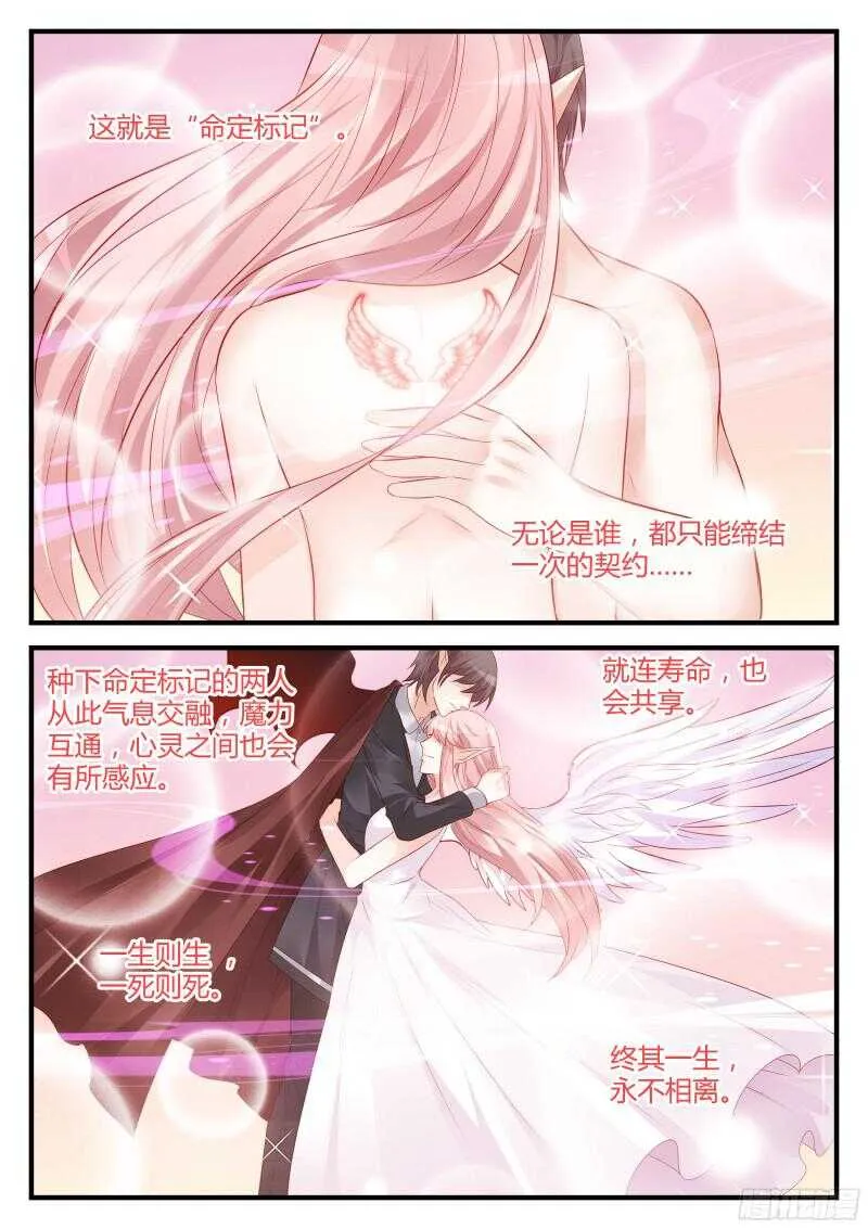 115 第4页