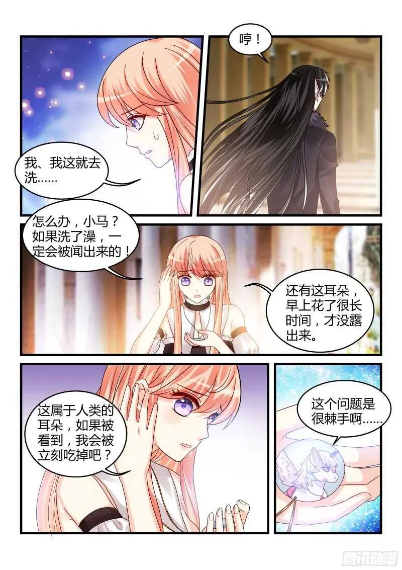 116 第8页