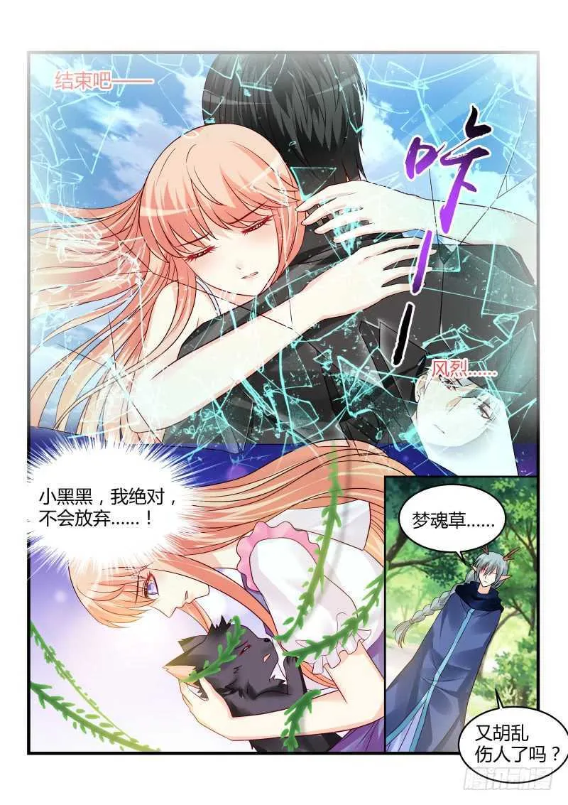 135 第11页