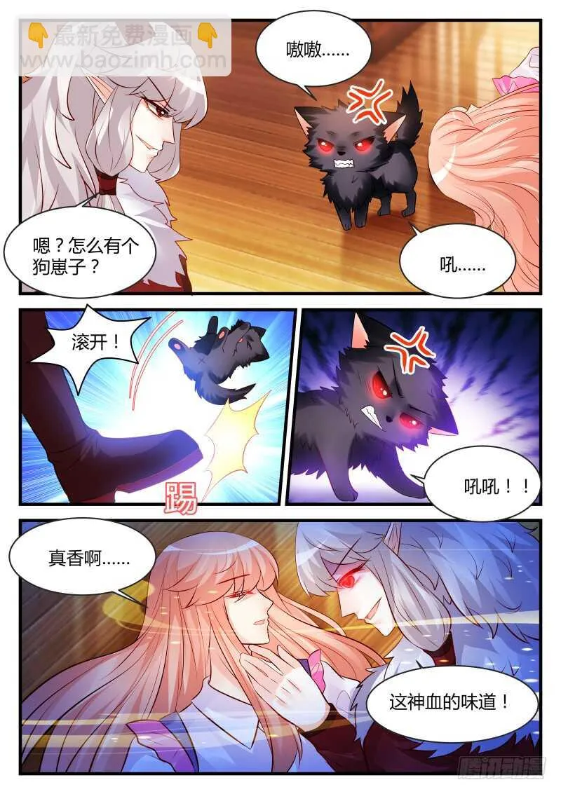 144 第4页