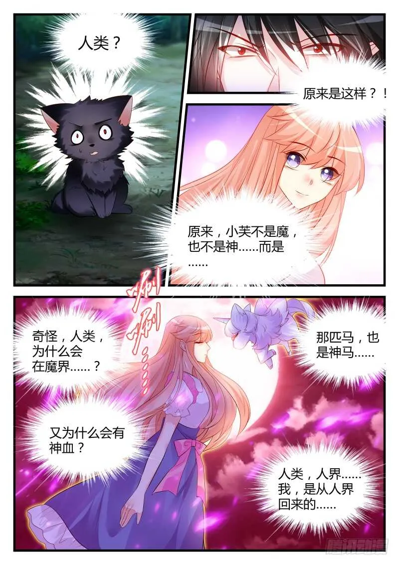 147 第7页