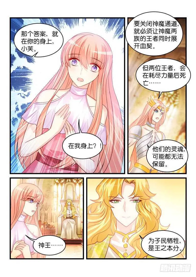 205 第8页